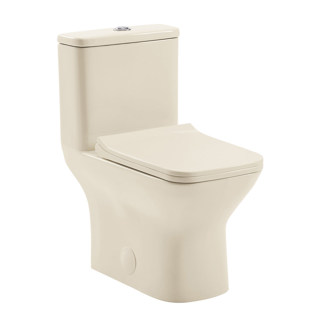 Carre One-Piece Square Toilet Dual-Flush 1.1/1.6 gpf